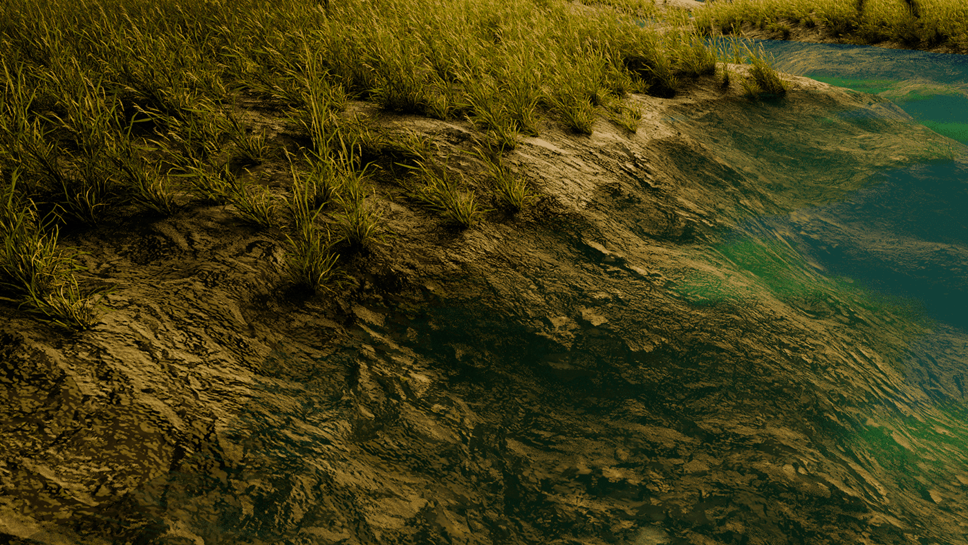 Environmental Study — image 4
